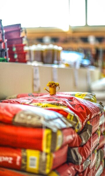 futtermittelhandelsuess-rotesfutter futtermittelhandelsuess-rotesfutter