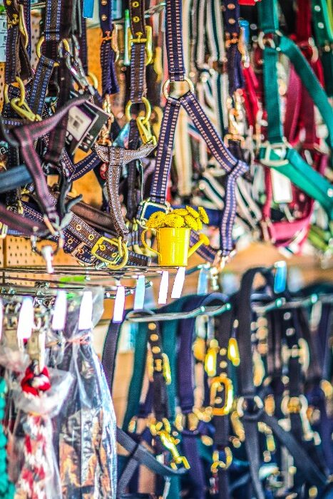 futtermittelhandelsuess-zubehör-zwei futtermittelhandelsuess-zubehör-zwei